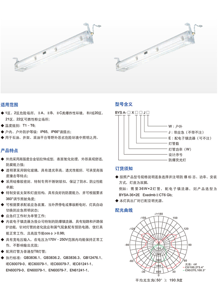 BYSA系列防爆熒光燈(油井專用)(ⅡC、DIP)1
